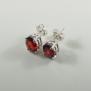 S.S. 3265 Garnet Earrings